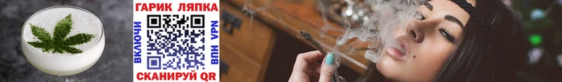 как найти Вихоревка Canna-Cookies конопля