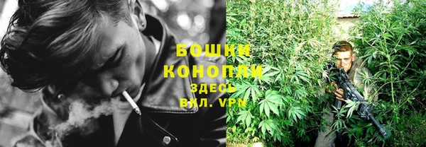 дживик Майский