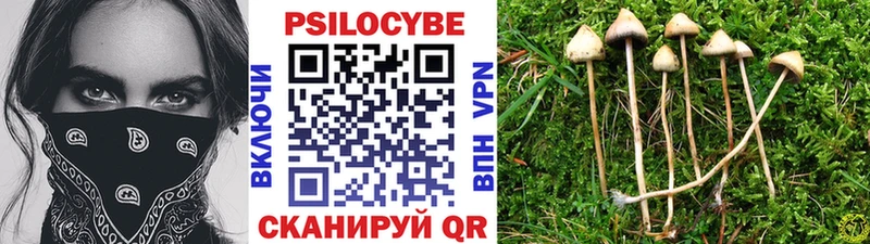 наркотики kraken ссылки Галлюциногенные грибы Psilocybine cubensis Вихоревка